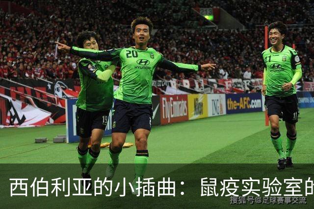 西伯利亚的小插曲：鼠疫实验室的悬念与警报